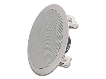 Ceiling Speaker Angled View