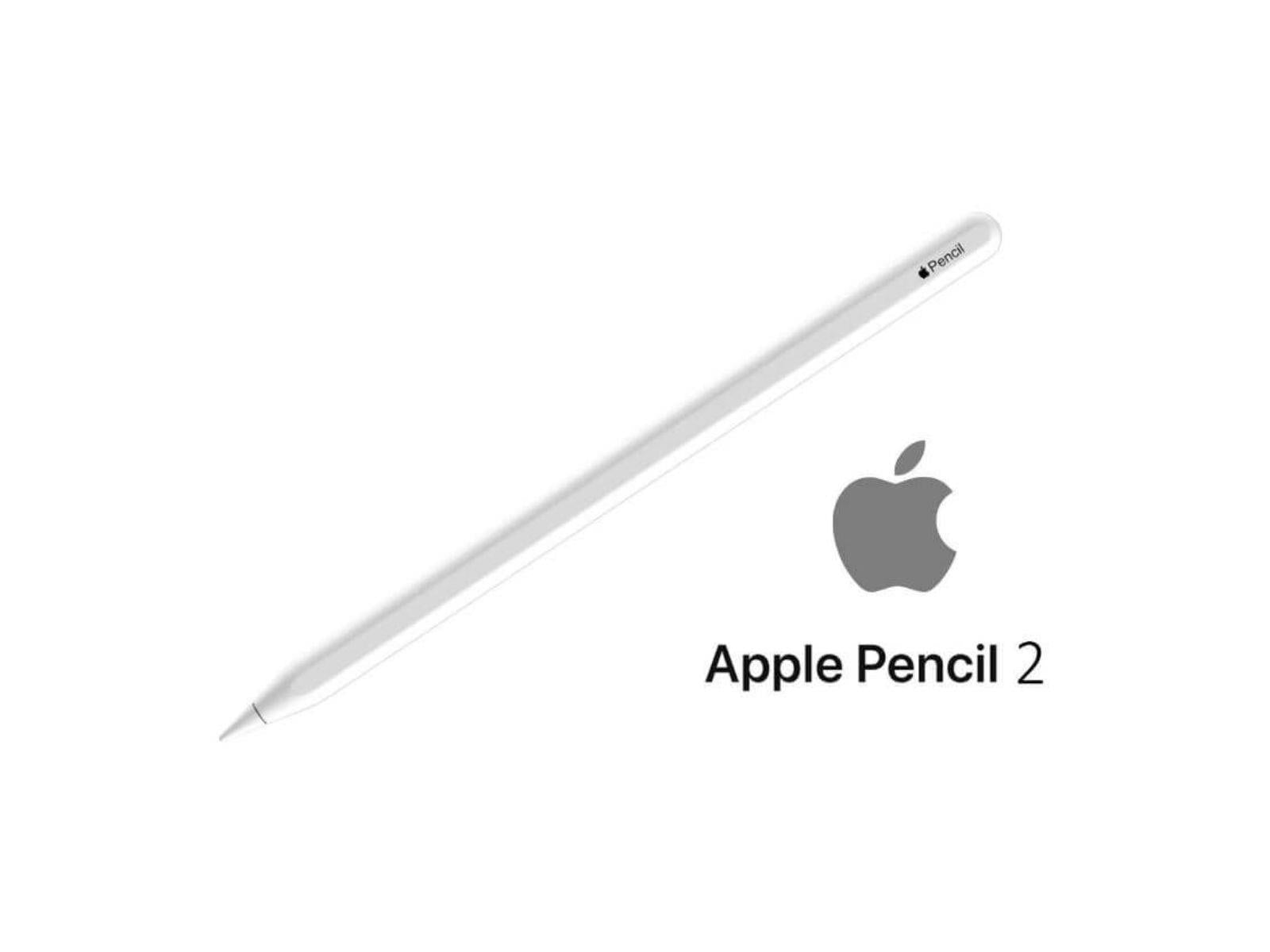 Apple Pencil 2nd Generation Angled View