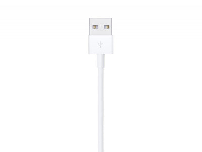 Apple Lighting Cable Showing Lighting USB 2.0 port