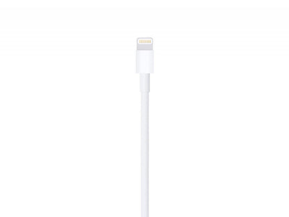 Apple Lighting Cable Showing Lighting Port